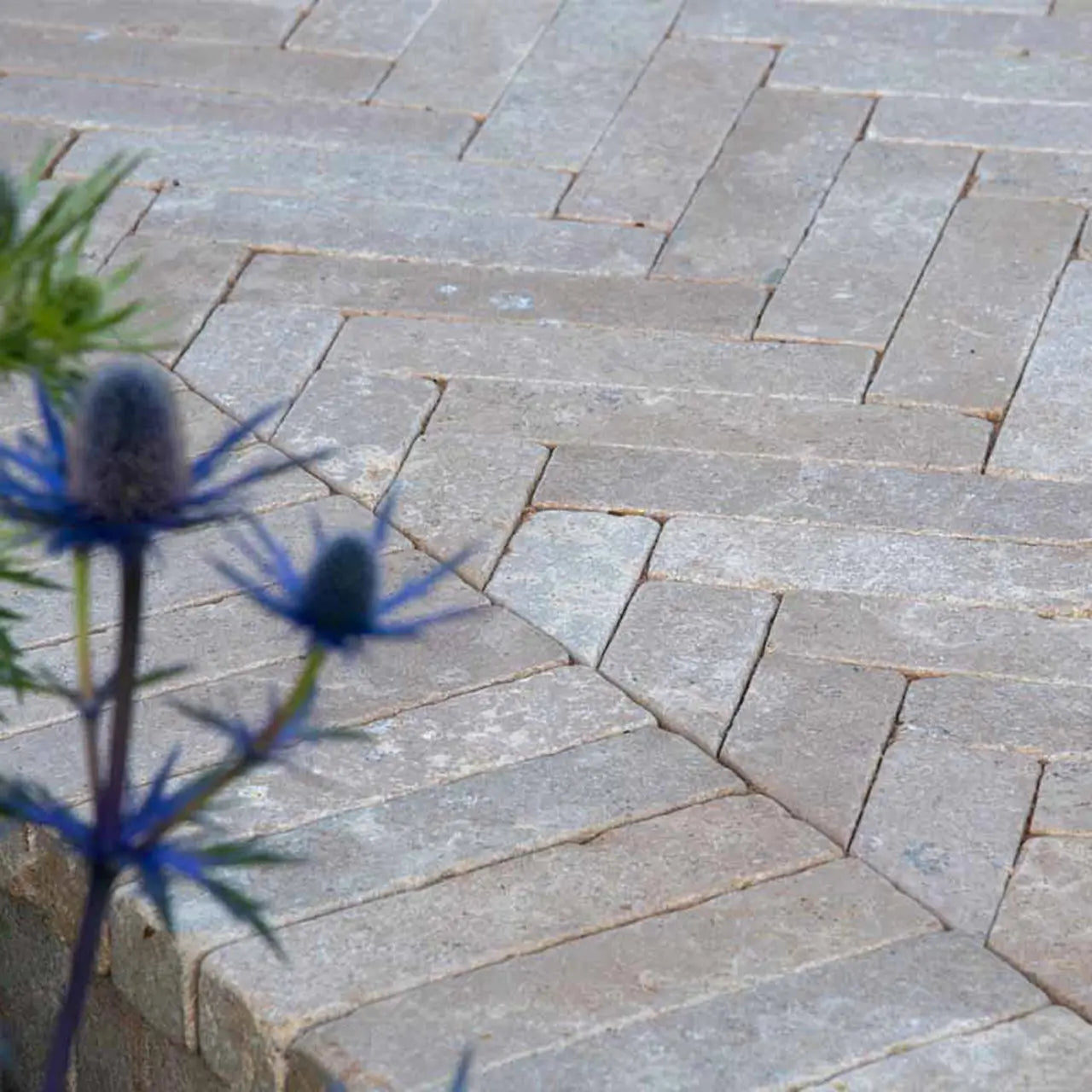 200x50x40mm Acid Tumbled Egyptian Limestone Paver – close-up showing textured tumbled finish and warm beige colour