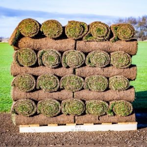 Garden Turf Rolls