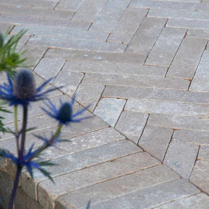 200x50x40mm Acid Tumbled Egyptian Limestone Paver – close-up showing textured tumbled finish and warm beige colour