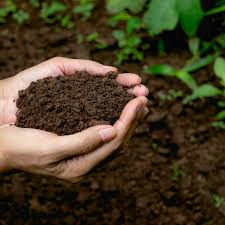 Premium Compost Topsoil - Nutrient-Rich For Stronger,Healthier Growth